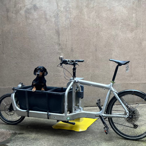 Bullitt cargo bike